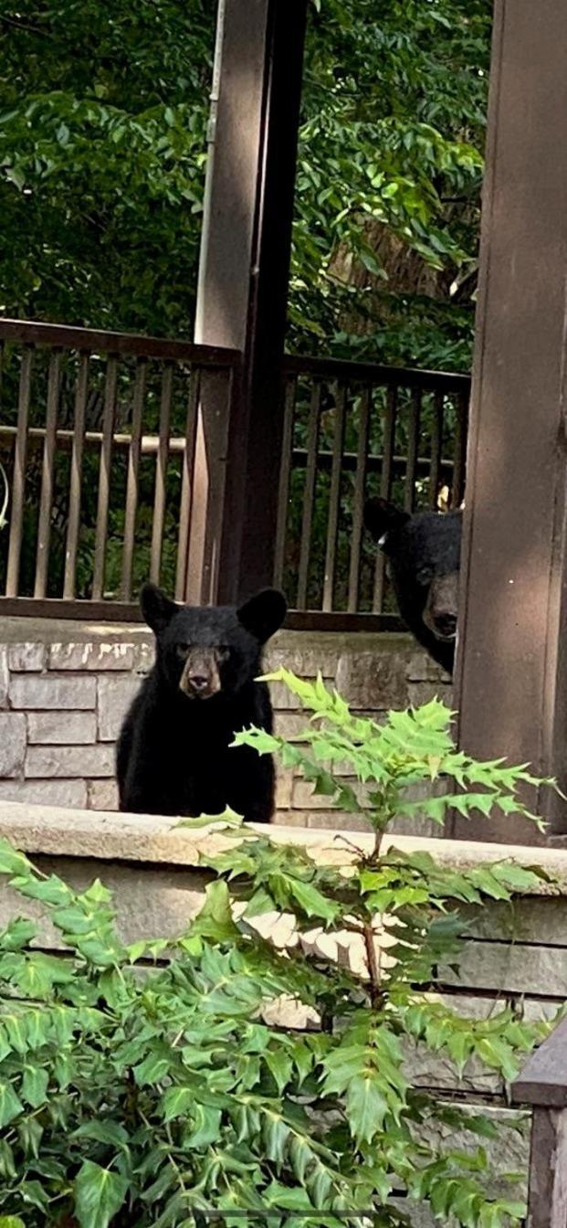 Brookside Lodge Gatlinburg Kültér fotó