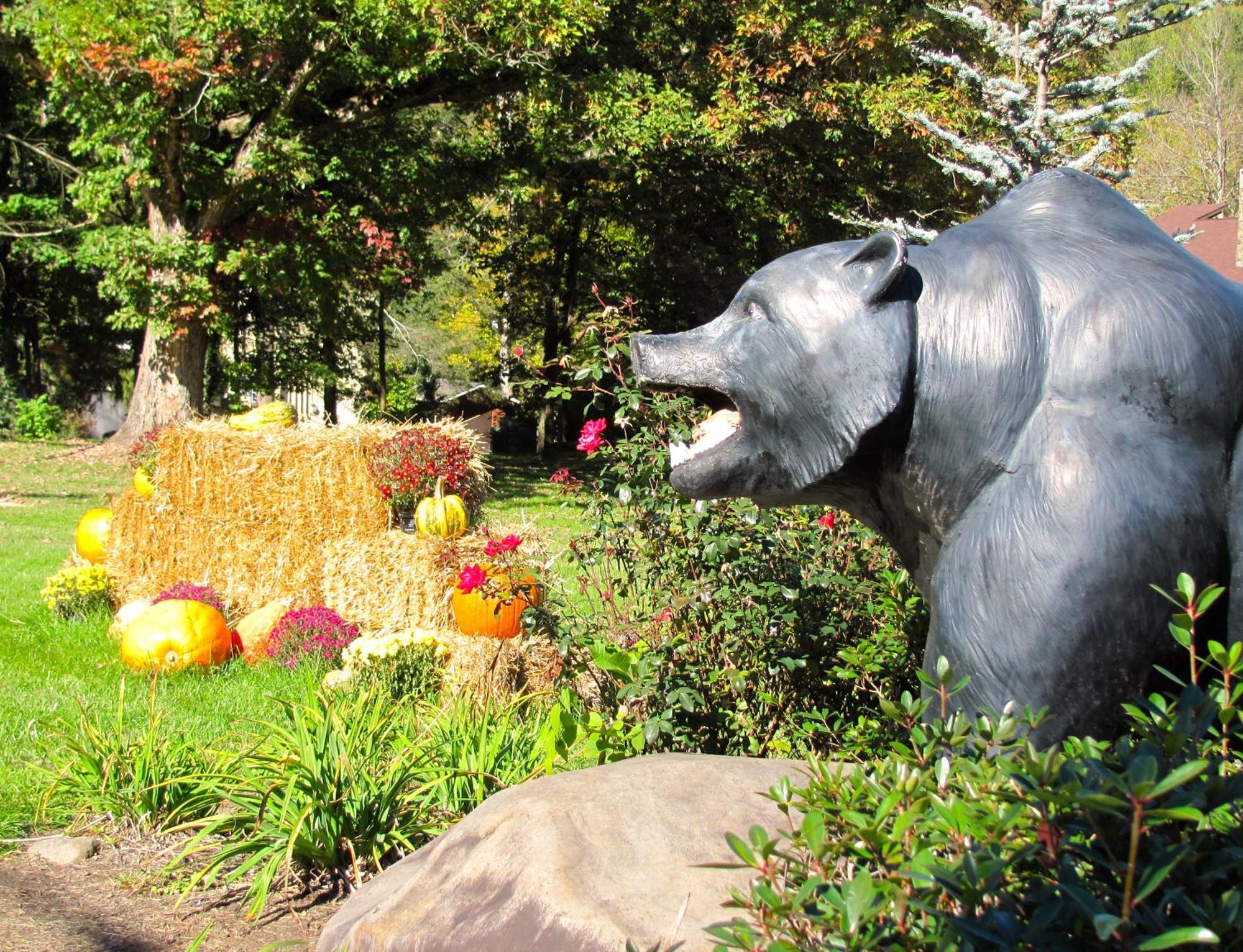 Brookside Lodge Gatlinburg Kültér fotó
